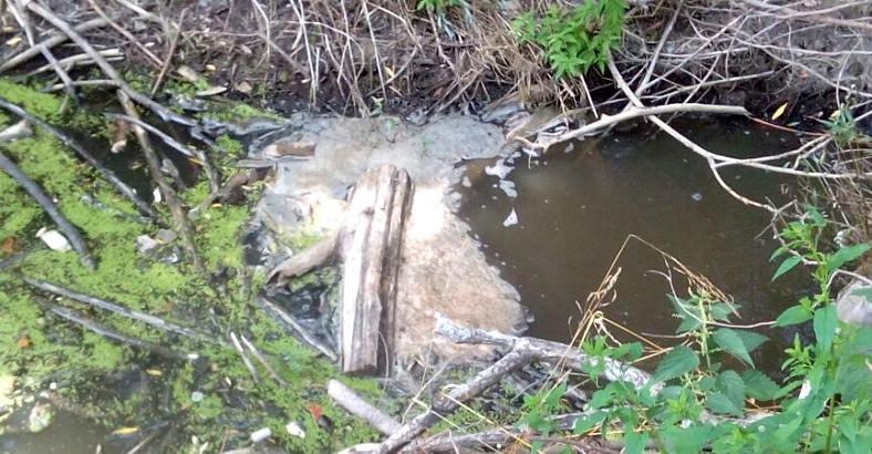 Ambiente Abruzzo - LAGO BARREA: SOA PRESENTA ESPOSTO PER SOSPETTO INQUINAMENTO Ambiente Abruzzo - LAGO BARREA: SOA PRESENTA ESPOSTO PER SOSPETTO INQUINAMENTO