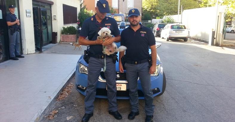 MALTRATTA CANE FACENDOLO GIRARE IN ARIA, DENUNCIATO