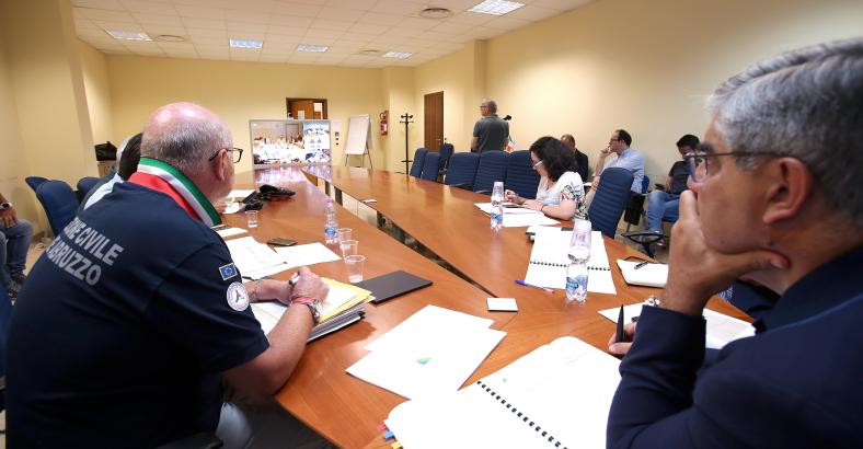 PROTEZIONE CIVILE: VIDEOCONFERENZA D'ALFONSO-BORRELLI
