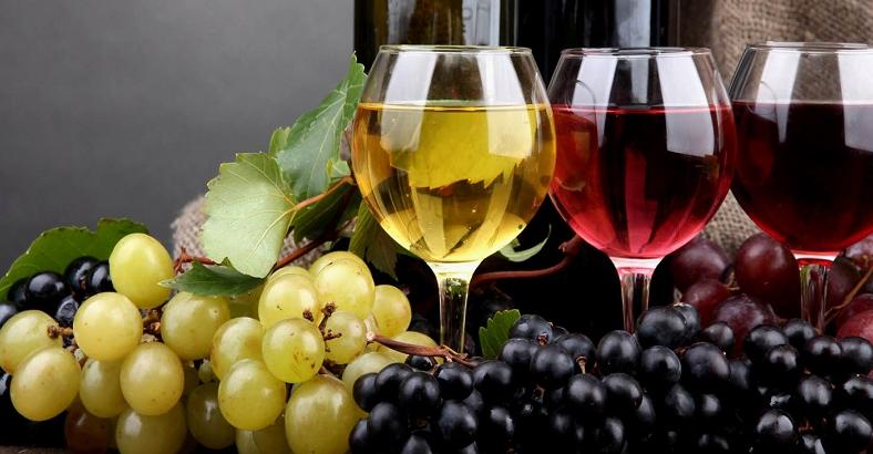 Economia Abruzzo - VINO: PRODUZIONE ABRUZZO PROVA AD APRIRE MERCATI IN CINA