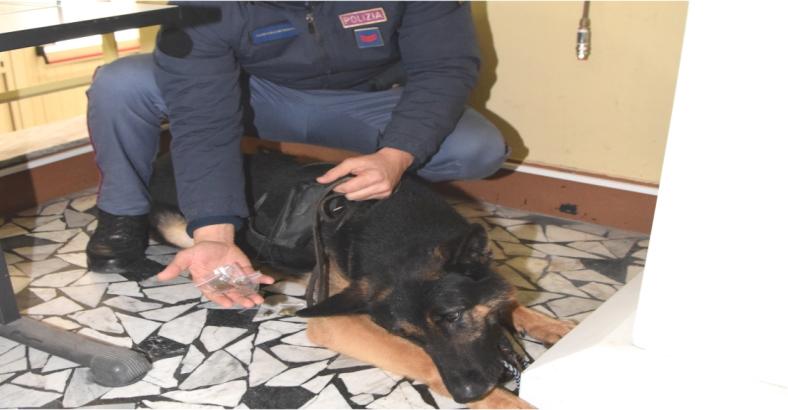 Cronaca Abruzzo - DROGA IN SCUOLA CHIETI, INDAGINI POLIZIA Cronaca Abruzzo - DROGA IN SCUOLA CHIETI, INDAGINI POLIZIA