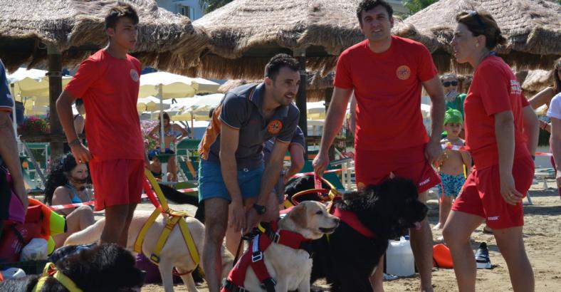 notizie Abruzzo - MARE: NUOVI BREVETTI PER CANI DA SALVATAGGIO