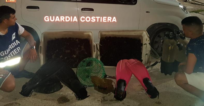 Cronaca Abruzzo - PESCA DI FRODO: SEQUESTRATI 800 RICCI DI MARE E POLPI Cronaca Abruzzo - PESCA DI FRODO: SEQUESTRATI 800 RICCI DI MARE E POLPI
