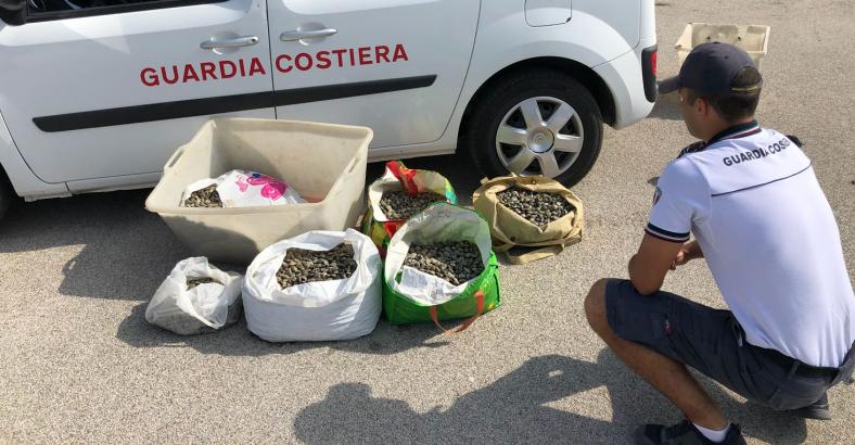 Cronaca Abruzzo - PESCA DI FRODO: ABRUZZO, SEQUESTRATI 120 KG VONGOLE Cronaca Abruzzo - PESCA DI FRODO: ABRUZZO, SEQUESTRATI 120 KG VONGOLE