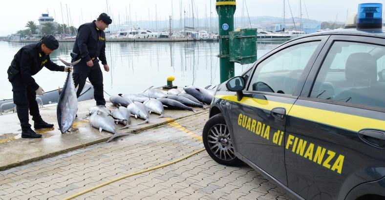 notizie Abruzzo - PESCA DI FRODO: SEQUESTRATA UNA TONNELLATA DI TONNO
