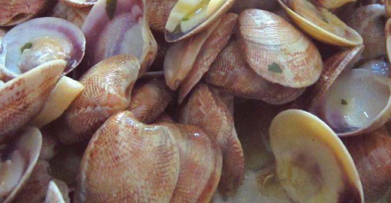 Politica Abruzzo - PESCA: PARTITO IN ABRUZZO RIPOPOLAMENTO VONGOLE Politica Abruzzo - PESCA: PARTITO IN ABRUZZO RIPOPOLAMENTO VONGOLE