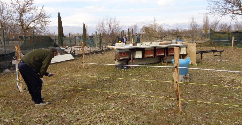 Ambiente Abruzzo - ORSO A FUCINO: SLO MONTA RECINTI ELETTRIFICATI Ambiente Abruzzo - ORSO A FUCINO: SLO MONTA RECINTI ELETTRIFICATI