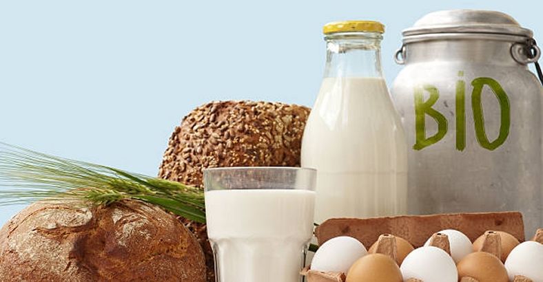 Cronaca Abruzzo - ALIMENTAZIONE: MENSE BIO IN DUE ASILI NIDO LANCIANO Cronaca Abruzzo - ALIMENTAZIONE: MENSE BIO IN DUE ASILI NIDO LANCIANO