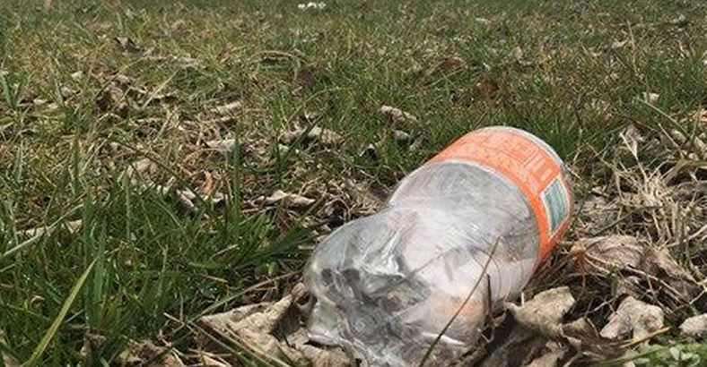 Ambiente Abruzzo - PARCO ABRUZZO: SE RACCOGLI RIFIUTI IN DONO UN LIBRO Ambiente Abruzzo - PARCO ABRUZZO: SE RACCOGLI RIFIUTI IN DONO UN LIBRO