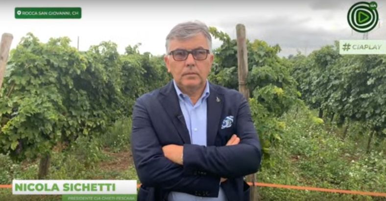Economia Abruzzo - VENDEMMIA 2019: ABRUZZO, PRODUZIONE -11% MA PIU' QUALITA' Economia Abruzzo - VENDEMMIA 2019: ABRUZZO, PRODUZIONE -11% MA PIU' QUALITA'