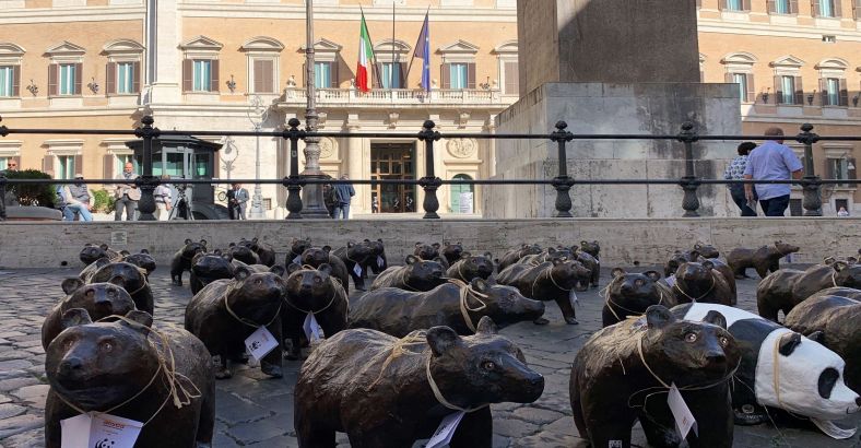 Ambiente Abruzzo - ORSO MARSICANO: FLASH-MOB WWF DAVANTI LA CAMERA Ambiente Abruzzo - ORSO MARSICANO: FLASH-MOB WWF DAVANTI LA CAMERA