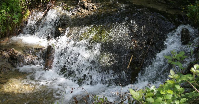 Ambiente Abruzzo - RISERVA DEL VERA: GESTIONE PARTECIPATA DELLA RACCOLTA RIFIUTI Ambiente Abruzzo - RISERVA DEL VERA: GESTIONE PARTECIPATA DELLA RACCOLTA RIFIUTI