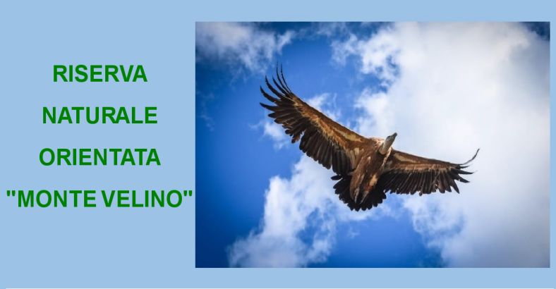 Ambiente Abruzzo - RISERVA MONTE VELINO: PRONTO DECALOGO PER LA TUTELA Ambiente Abruzzo - RISERVA MONTE VELINO: PRONTO DECALOGO PER LA TUTELA