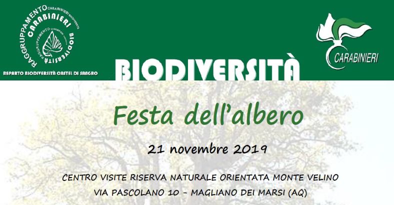 notizie Abruzzo - FESTA DELL'ALBERO: LE DATE NELL'AQUILANO