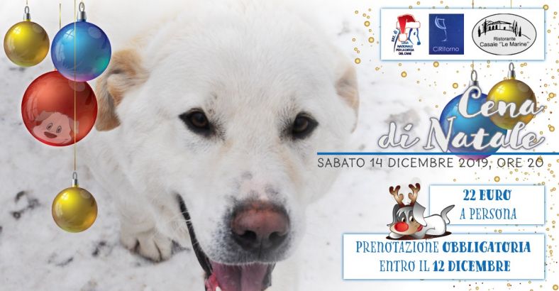 notizie Abruzzo - NATALE: LNDC, CENA BENEFIT PER AIUTARE CANI RANDAGI