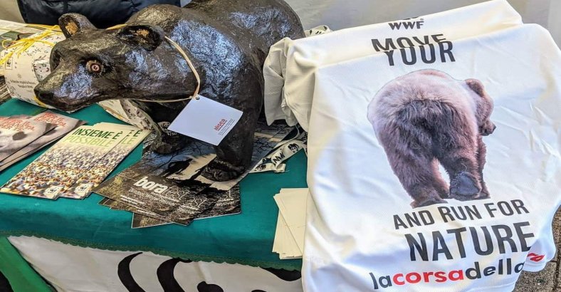 Ambiente Abruzzo - ORSO MARSICANO: CORSA DELLA BORA PER PROGETTO WWF 2X50 Ambiente Abruzzo - ORSO MARSICANO: CORSA DELLA BORA PER PROGETTO WWF 2X50