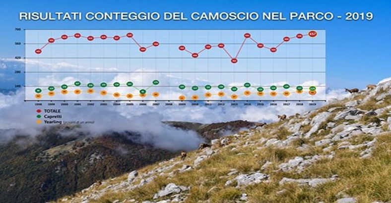 Ambiente Abruzzo - PARCO ABRUZZO: CENSIMENTO CAMOSCI, SONO 657 Ambiente Abruzzo - PARCO ABRUZZO: CENSIMENTO CAMOSCI, SONO 657