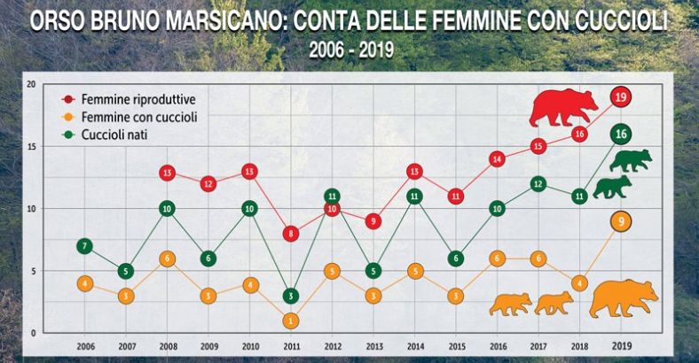 Ultime notizie di Ambiente in Abruzzo - PARCO ABRUZZO: OTTIME NOTIZIE, 16 CUCCIOLI ORSO NATI NEL 2019 Ultime notizie di Ambiente in Abruzzo - PARCO ABRUZZO: OTTIME NOTIZIE, 16 CUCCIOLI ORSO NATI NEL 2019