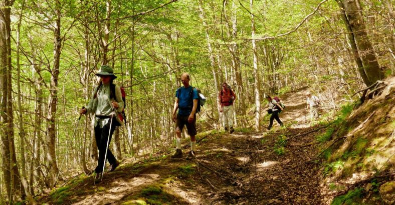 Ambiente Abruzzo - CORONAVIRUS: WILDERNESS ABRUZZO CHIEDE SGRAVI PER FASE 2 Ambiente Abruzzo - CORONAVIRUS: WILDERNESS ABRUZZO CHIEDE SGRAVI PER FASE 2