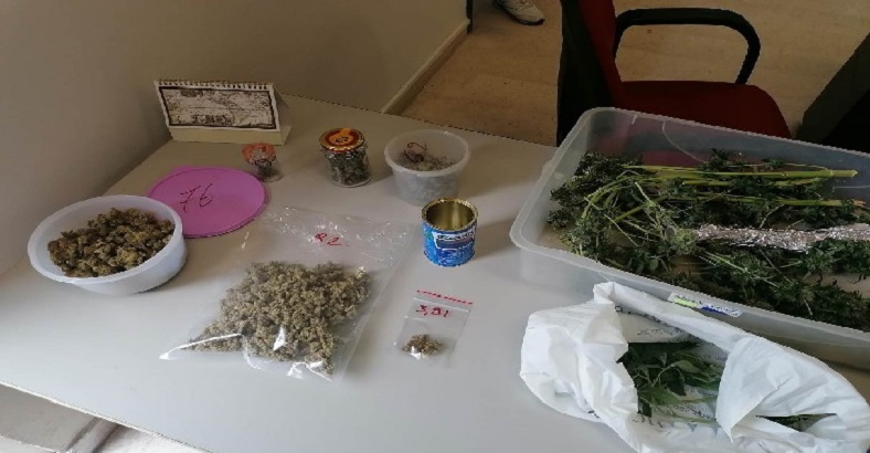Cronaca Abruzzo - DROGA: ARRESTATO 40ENNE CON SERRA MARIJUANA IN CASA Cronaca Abruzzo - DROGA: ARRESTATO 40ENNE CON SERRA MARIJUANA IN CASA