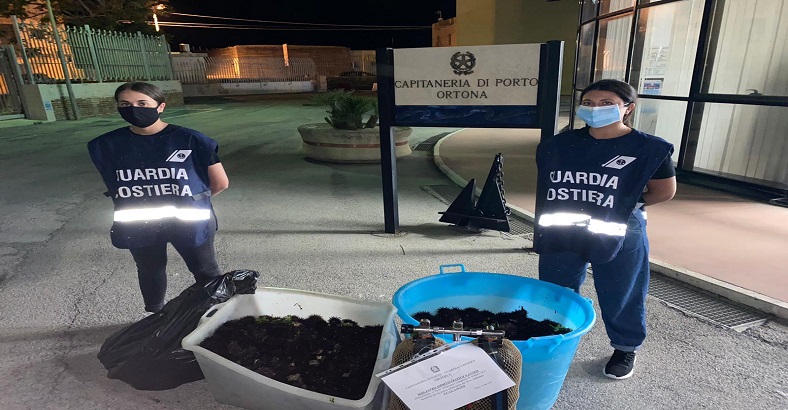 Cronaca Abruzzo - MARE: PESCA DI FRODO, CAPITANERIA ORTONA SEQUESTRA 2000 RICCI Cronaca Abruzzo - MARE: PESCA DI FRODO, CAPITANERIA ORTONA SEQUESTRA 2000 RICCI