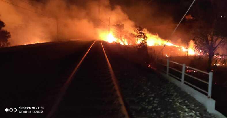 Ultime notizie di Cronaca in Abruzzo - INCENDIO SU FERROVIA SAN SALVO - TERMOLI, TRANSITO TRENI REGOLARE Ultime notizie di Cronaca in Abruzzo - INCENDIO SU FERROVIA SAN SALVO - TERMOLI, TRANSITO TRENI REGOLARE