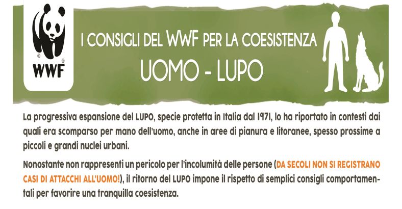 Ultime notizie di Ambiente in Abruzzo - WWF ABRUZZO, ECCO I CONSIGLI PER CONVIVERE CON I LUPI