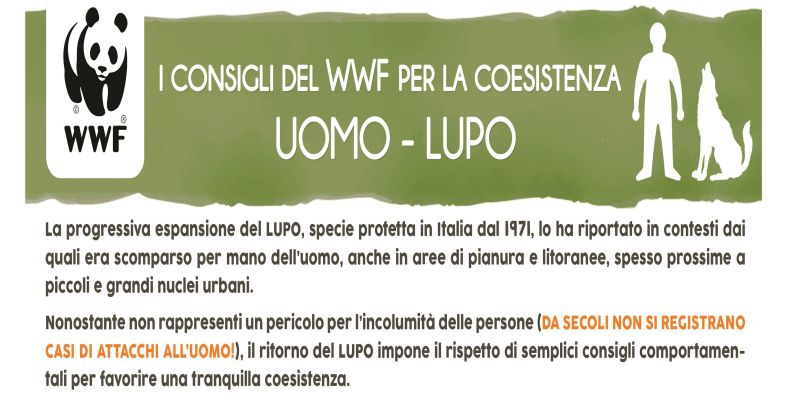 Ultime notizie di Ambiente in Abruzzo - WWF ABRUZZO, ECCO I CONSIGLI PER CONVIVERE CON I LUPI Ultime notizie di Ambiente in Abruzzo - WWF ABRUZZO, ECCO I CONSIGLI PER CONVIVERE CON I LUPI