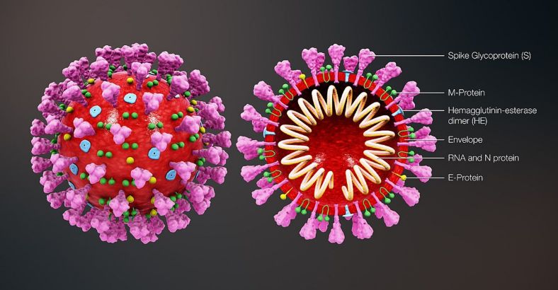 Ultime notizie di Cronaca in Abruzzo - CORONAVIRUS: SCREENING DI MASSA TERAMO, POSITIVI A +30 Ultime notizie di Cronaca in Abruzzo - CORONAVIRUS: SCREENING DI MASSA TERAMO, POSITIVI A +30