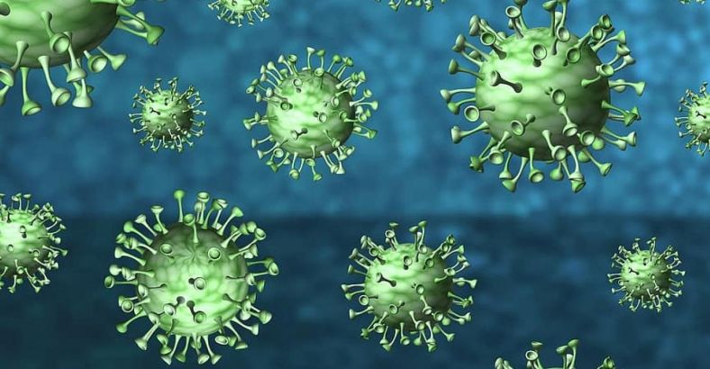 Ultime notizie di Cronaca in Abruzzo - CORONAVIRUS: SCREENING PROVINCIA CHIETI, 456 POSITIVI Ultime notizie di Cronaca in Abruzzo - CORONAVIRUS: SCREENING PROVINCIA CHIETI, 456 POSITIVI