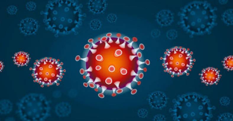 Ultime notizie di Cronaca in Abruzzo - CORONAVIRUS: ABRUZZO, 219 NUOVI CASI E 13 DECESSI Ultime notizie di Cronaca in Abruzzo - CORONAVIRUS: ABRUZZO, 219 NUOVI CASI E 13 DECESSI